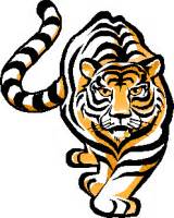 tiger body 